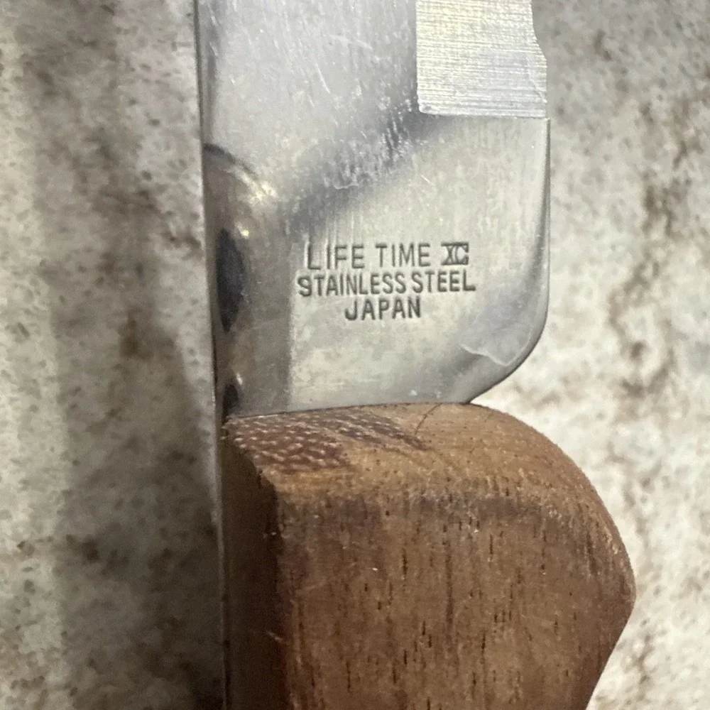 Vintage Pierre Santini Stainless Steel Serrated Carving Knife Wood Handle Japan